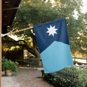 Minnesota State Flag USA