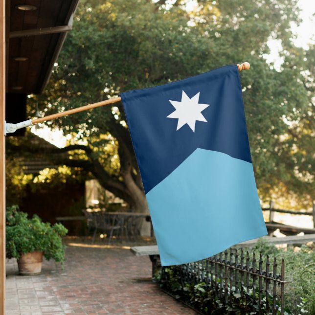 Minnesota State Flag USA (In SItu)