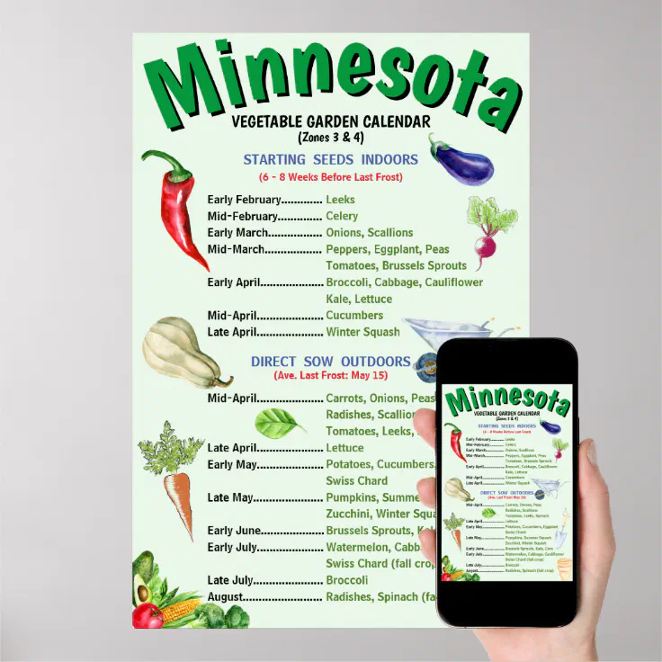 Minnesota Vegetable Garden Calendar Poster Zazzle