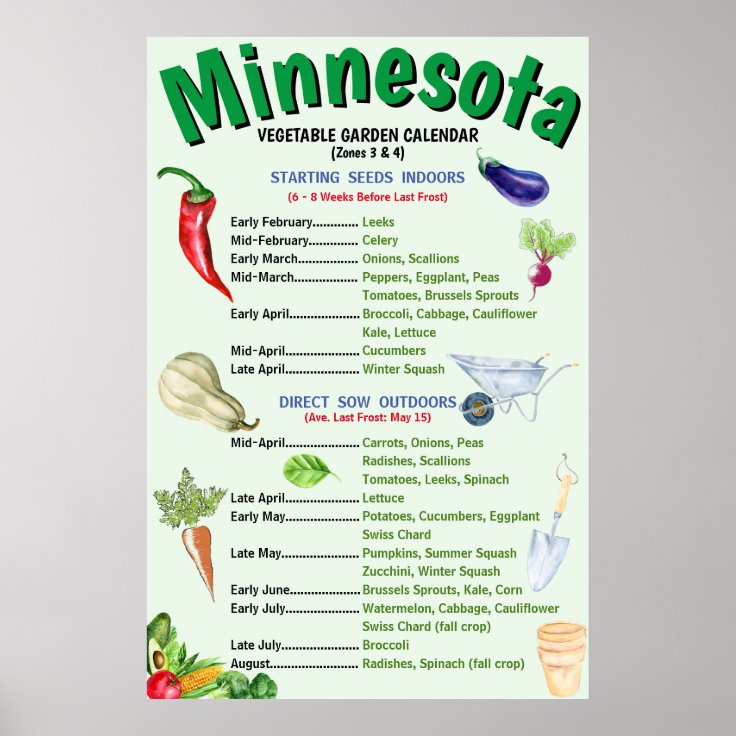 Minnesota Vegetable Garden Calendar Poster Zazzle