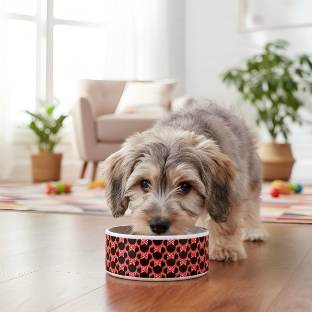 Minni Bowl (Creator Uploaded)