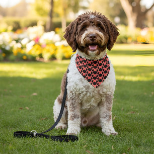 Minni Pet Bandana Collar