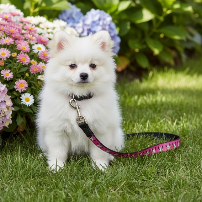 Minni Pet Leash (Creator Uploaded)