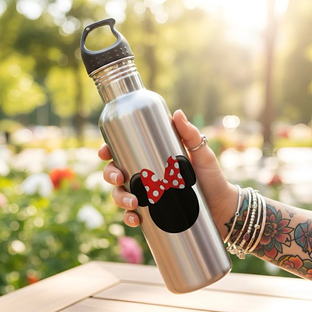 Minni Stainless Steel Water Bottle (Creator Uploaded)