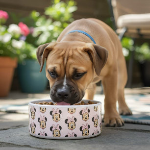 Minnie Bowl