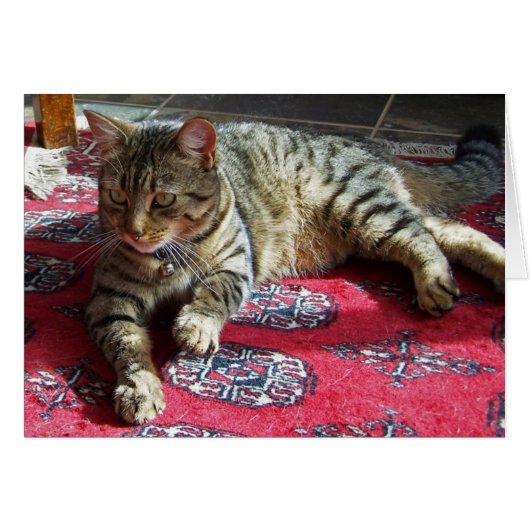 Minnie in Sunshine2 (Front Horizontal)