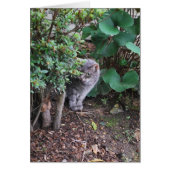 Minnie in the garden (Front)