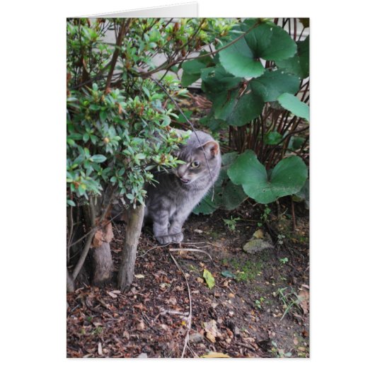 Minnie in the garden (Front)