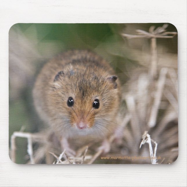 Minnie Mousemat Mouse Pad (Front)