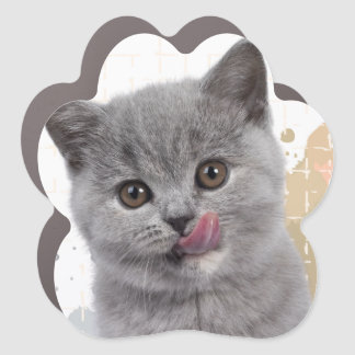 Minnie the grey cat car magnet