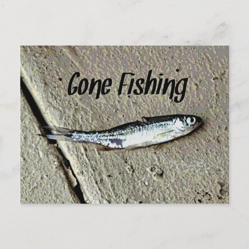 Minnow Bait Gone Fishing Postcard