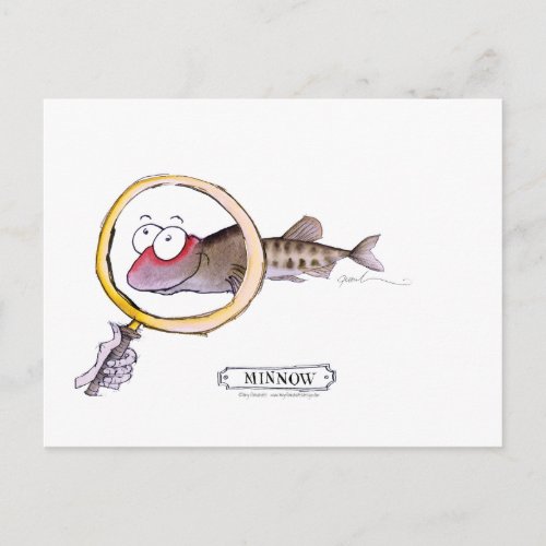 Minnow fish tony fernandes postcard