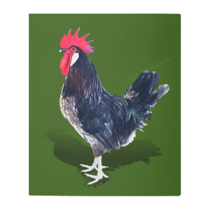 Minorca Rooster Metal Print