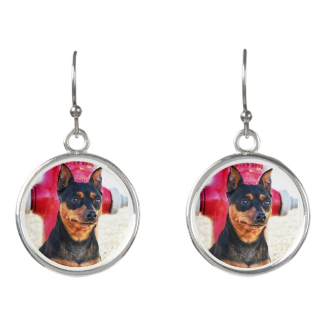 MinPinOne Earrings (Front)