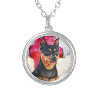 MinPinOne Silver Plated Necklace