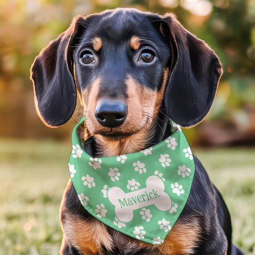 Mint And White Paw Print Dog Bone Custom Name Pet Bandana Collar