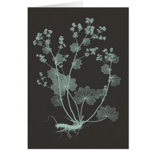 Mint & Charcoal Nature Study I Cards (Front)