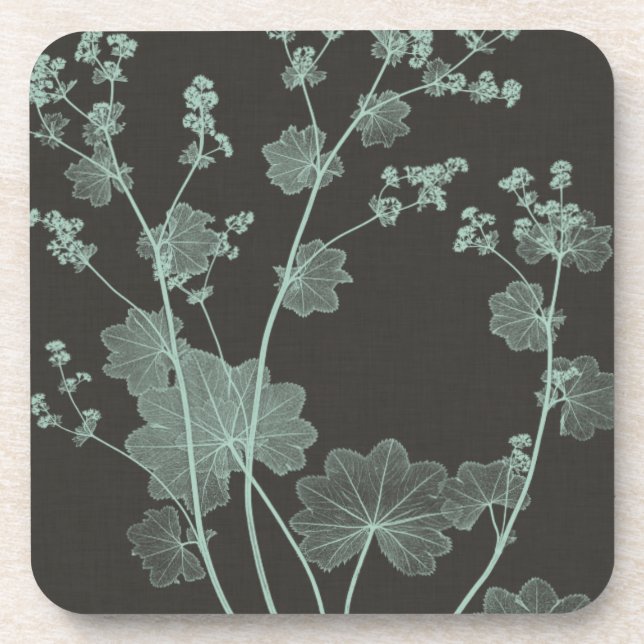 Mint & Charcoal Nature Study I Drink Coaster (Front)