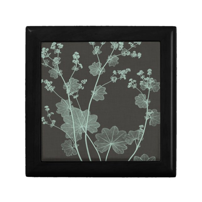 Mint & Charcoal Nature Study I Keepsake Box (Front)