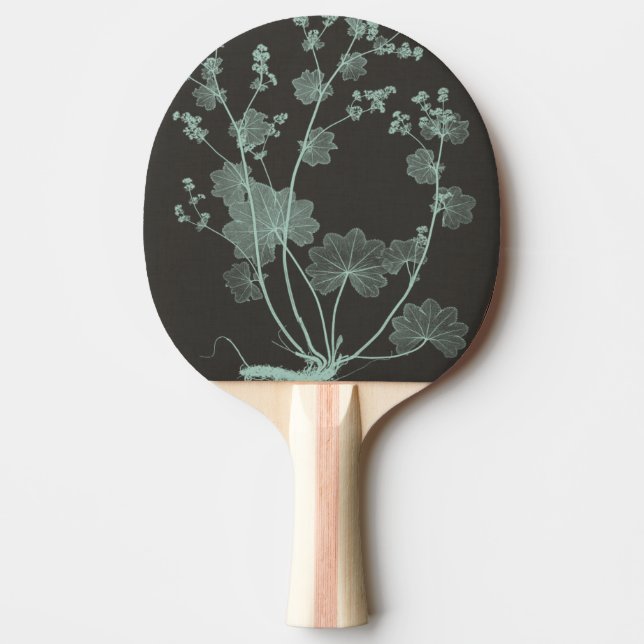Mint & Charcoal Nature Study I Ping-Pong Paddle (Front)