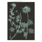 Mint & Charcoal Nature Study IV (Front)