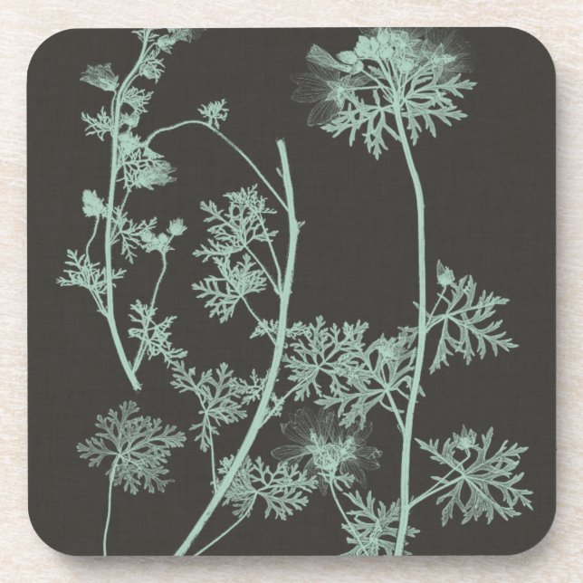 Mint & Charcoal Nature Study IV Beverage Coaster (Front)