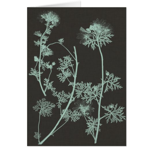 Mint & Charcoal Nature Study IV Cards (Front)