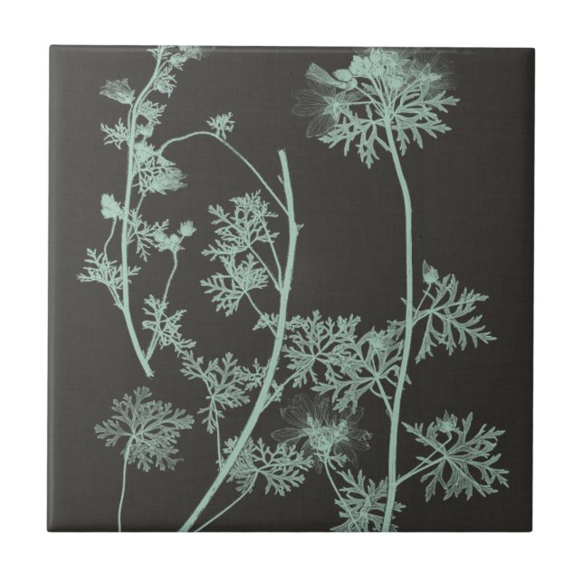 Mint & Charcoal Nature Study IV Ceramic Tile (Front)