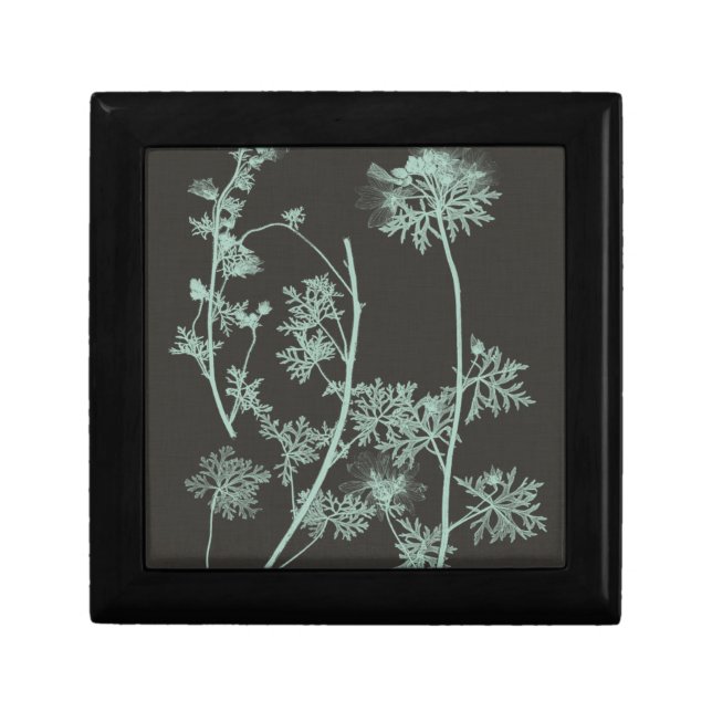 Mint & Charcoal Nature Study IV Gift Box (Front)