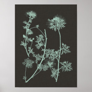 Mint & Charcoal Nature Study IV Poster