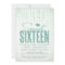 Mint Glitter Look Sweet 16 (Sixteen) Party