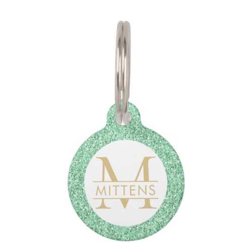 Mint Green and Gold Glitter Sparkly Monogram Pet ID Tag