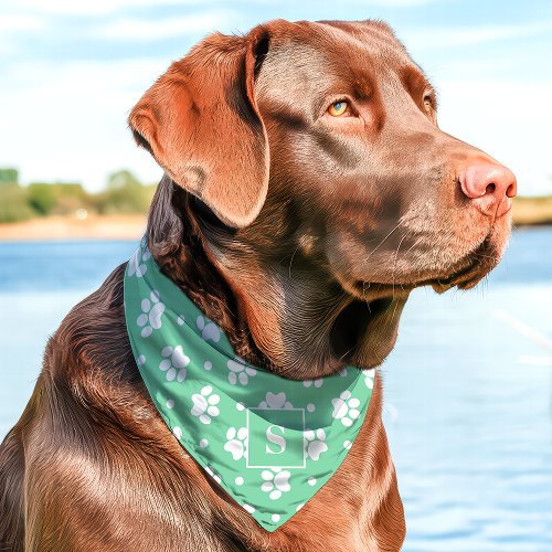 Mint Green And White Polka Dot Paw Print Monogram Pet Bandana Collar