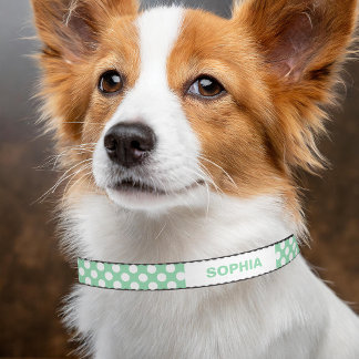 Mint Green And White Polka Dots With Custom Name Pet Collar