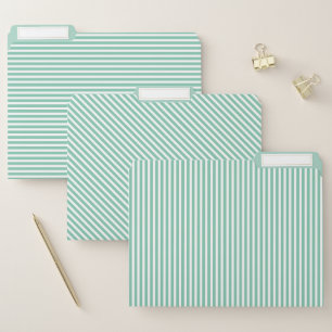 Mint Green and White Striped File Folder