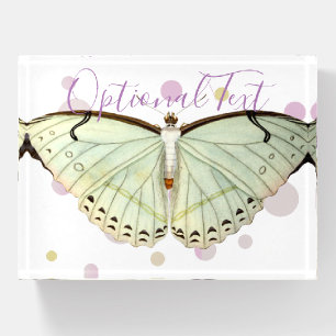 Mint Green Beauty Butterfly Paperweight