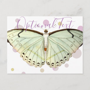 Mint Green Beauty Butterfly Postcard