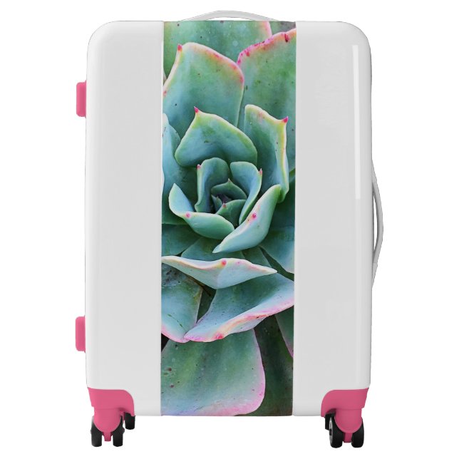 Mint green cactus succulent close-up photo modern luggage (Front)