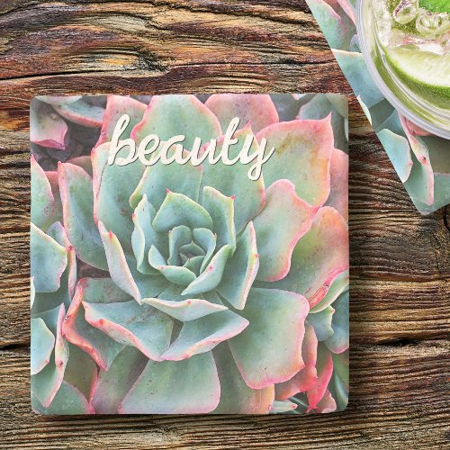 Mint Green Cactus Succulent Photo Beauty Script Stone Coaster