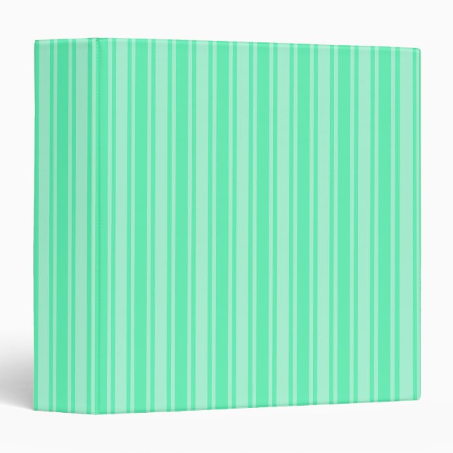 Mint green candy stripes 3 ring binder (Front/Spine)