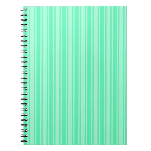 Mint green candy stripes notebook (Front)