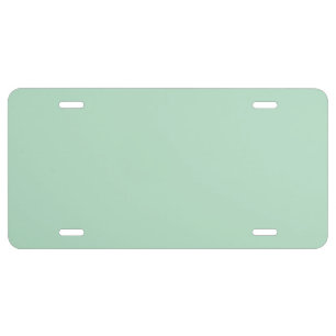 Mint Green Custom License Plate