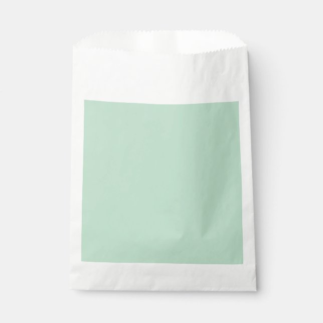 Mint Green Minimalist Party Favor Bags (Front)