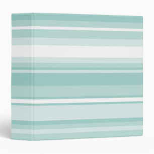 Mint green stripes binder