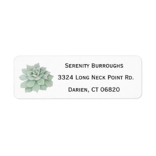 Mint Green Succulent Cactus Watercolor Label