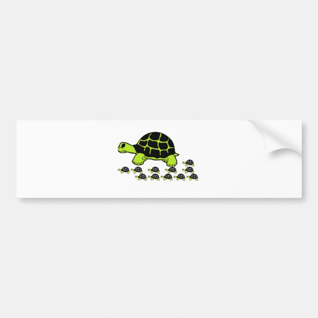 mint green turles bumper sticker (Front)