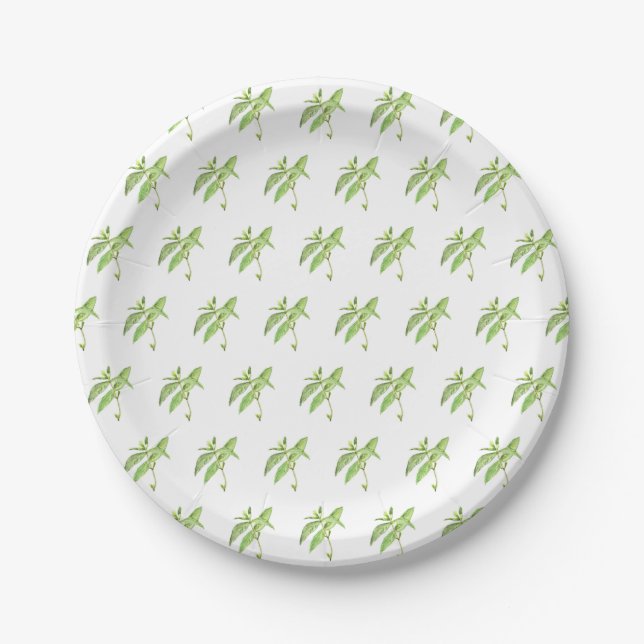 Mint herb botanical plants green garden watercolor paper plates (Front)