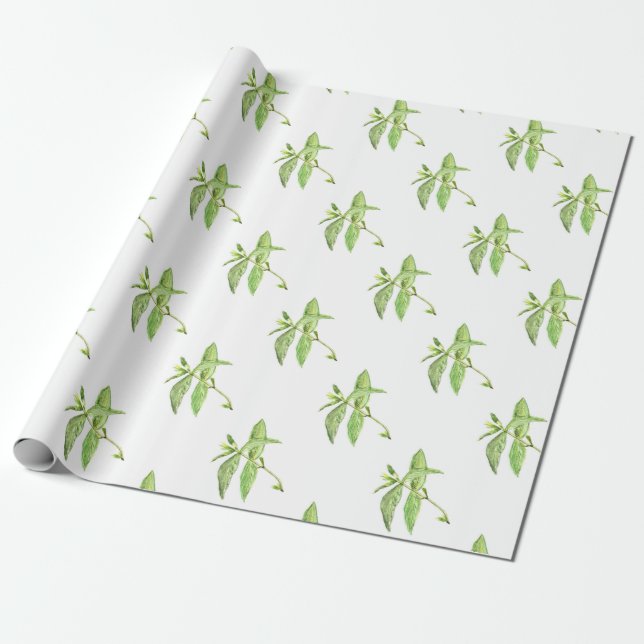 Mint herb botanical plants green garden wrapping paper (Unrolled)