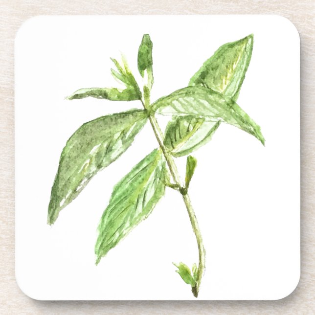 Mint herb drink coaster (Front)