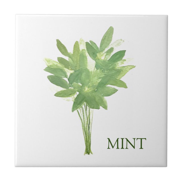 Mint Herb Greenery Kitchen Thyme Sage Green  Ceramic Tile (Front)